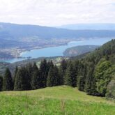 Paysage de montagne avec une clairière encadrée d'arbres
