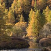 Paysage de montagne avec un cours d'eau en contrebas surplombé par une forêt d'arbres aux couleurs d'automne