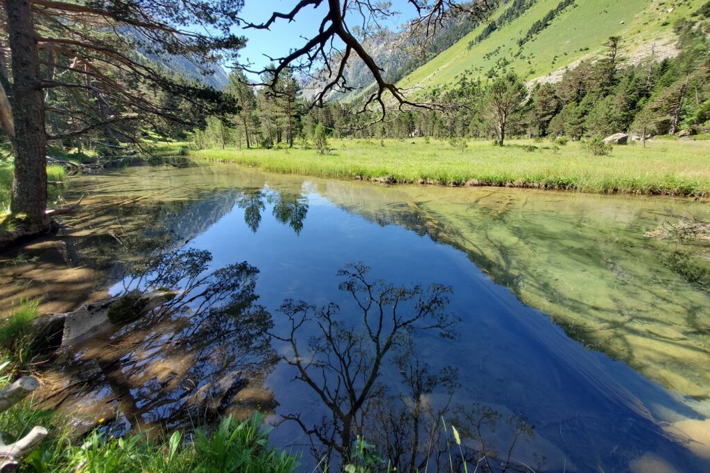 Paysage de montagne avec au centre un lac et de part et d'autre on retrouve de la végétation forestière