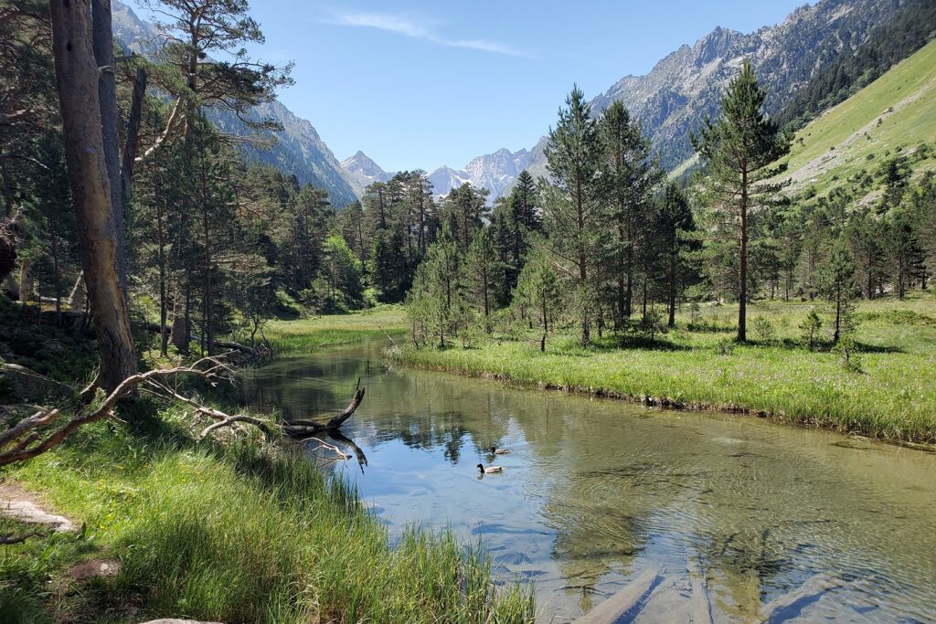 Paysage de montagne avec un lac encadré d'arbres et en fond des sommets.