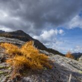 Paysage de montagne avec des sommets rocheux et au premier plan des arbres aux couleurs orangées