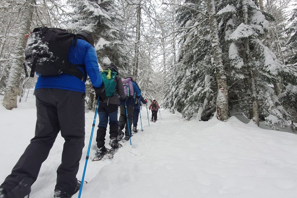Groupe de randonneurs en raquettes avec leur guide sur un sentier de montagne en hiver dans la vallée d'Aspe