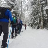 Groupe de randonneurs en raquettes avec leur guide sur un sentier de montagne en hiver dans la vallée d'Aspe