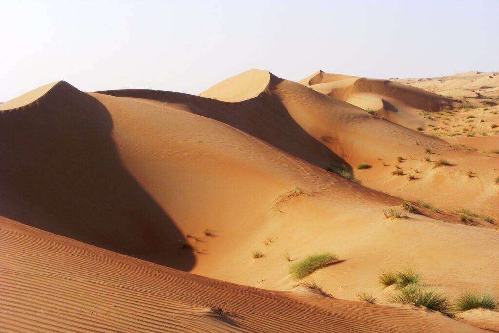 Paysage désertique à Oman, avec des dunes