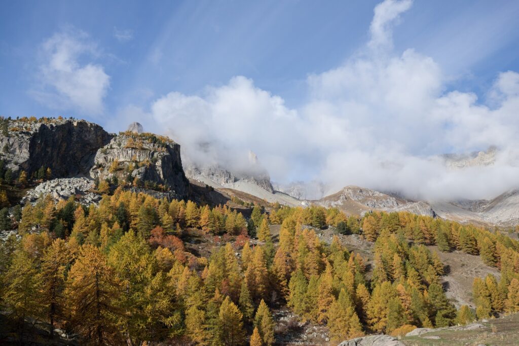 Paysage de montagne avec des arbres au premier plan et des sommets à l'arrière-plan.