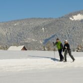 Deux randonneurs en ski de fond sur une piste dans le Vercors