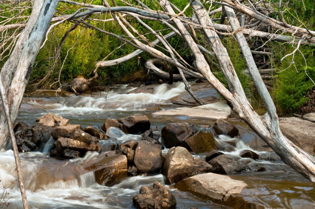 Paysage de bord de rivière avec un cours d'eau dans une forêt qui passe sur des rochers