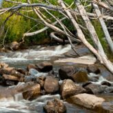 Paysage de bord de rivière avec un cours d'eau dans une forêt qui passe sur des rochers