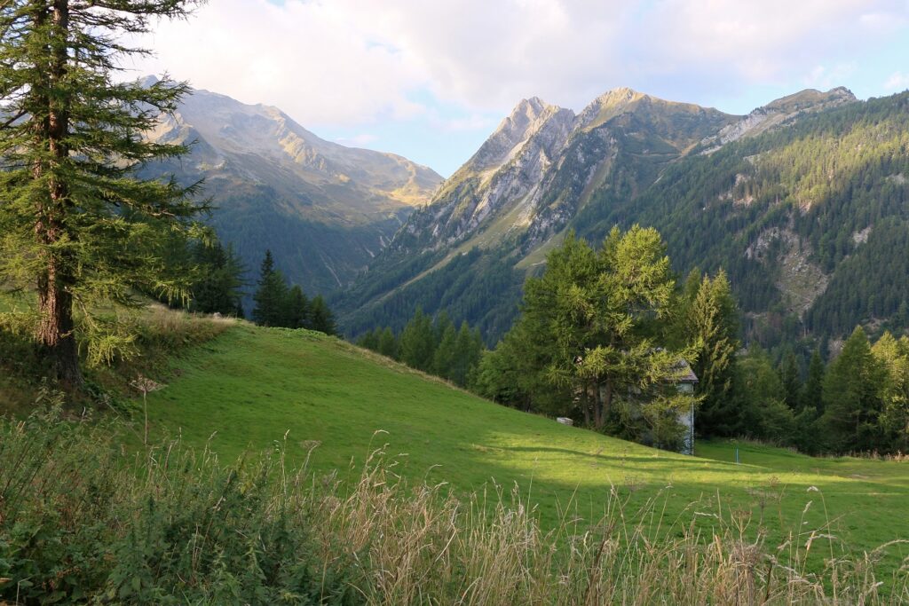 Paysage de montagne avec des arbres au premier plan ainsi que des sommets à l'arrière-plan, paysage observé dans les Alpes lors du tour complet du Mont Blanc accompagné d'un guide