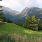 Paysage de montagne avec des arbres au premier plan ainsi que des sommets à l'arrière-plan, paysage observé dans les Alpes lors du tour complet du Mont Blanc accompagné d'un guide