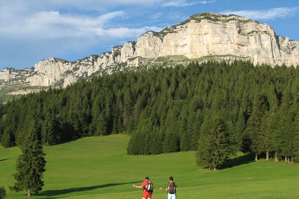 Groupe de randonneurs sur un sentier de randonnée avec en fond des arbres d'une forêt et des sommets en fond