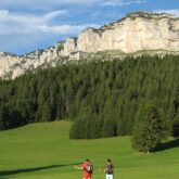 Groupe de randonneurs sur un sentier de randonnée avec en fond des arbres d'une forêt et des sommets en fond