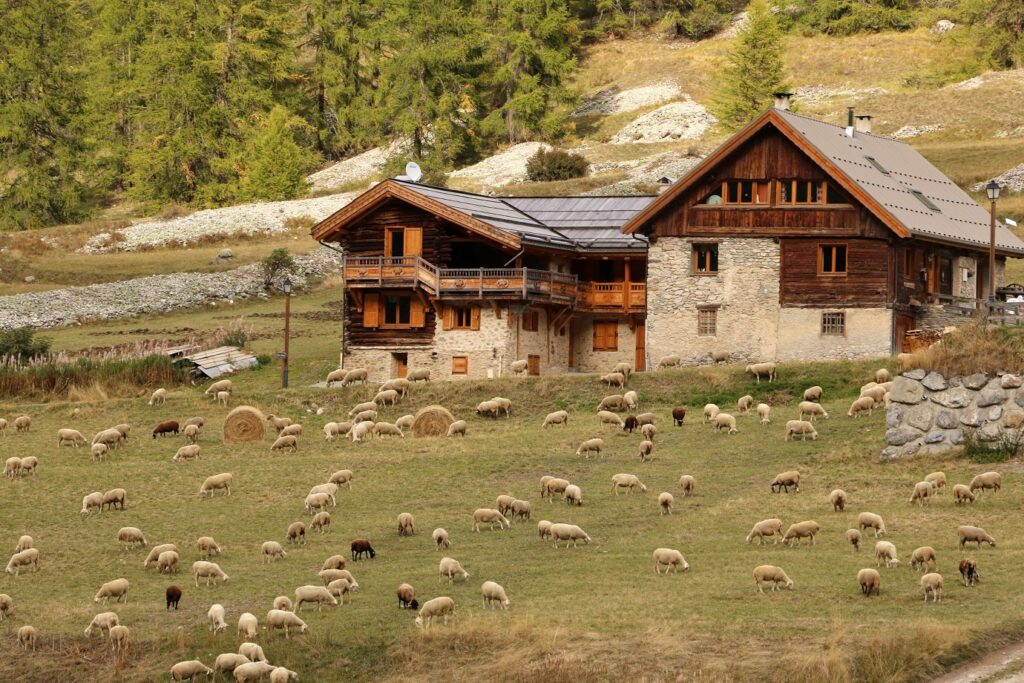 Paysage de montagne avec un chalet au centre encadré d'herbe et surplombé par une montagne