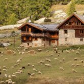 Paysage de montagne avec un chalet au centre encadré d'herbe et surplombé par une montagne