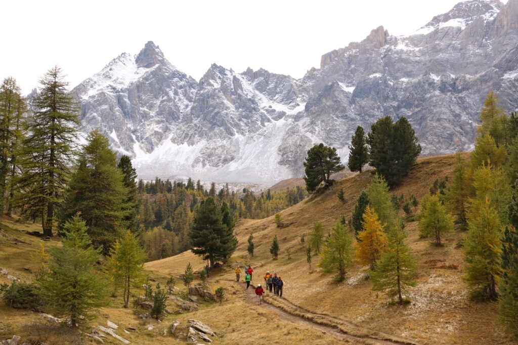 Paysage de montagne avec des sommets enneigés à l'arrière-plan et au premier plan une plaine avec des arbres.