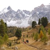 Paysage de montagne avec des sommets enneigés à l'arrière-plan et au premier plan une plaine avec des arbres.
