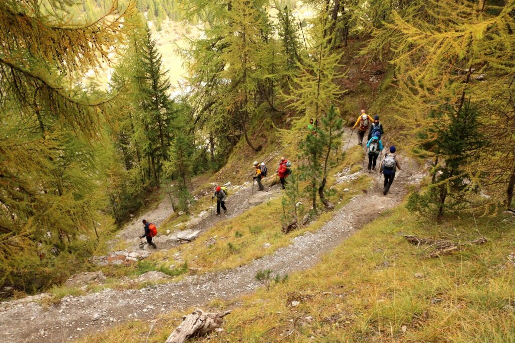Groupe de randonneurs sur un sentier avec leur guide lors d'un séjour du tour du Queyras confort en itinérance