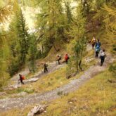 Groupe de randonneurs sur un sentier avec leur guide lors d'un séjour du tour du Queyras confort en itinérance