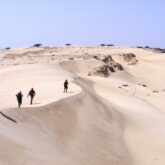 Dune de sable blanc d'Oman avec un groupe de randonneurs qui marche sur la crête