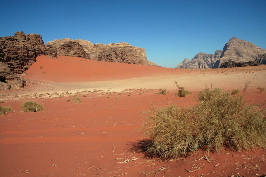 Paysage désertique en Jordanie avec du sable de couleur rose et une trace de sable blanc, avec en fond des sommets de pierre
