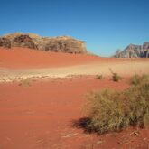 Paysage désertique en Jordanie avec du sable de couleur rose et une trace de sable blanc, avec en fond des sommets de pierre