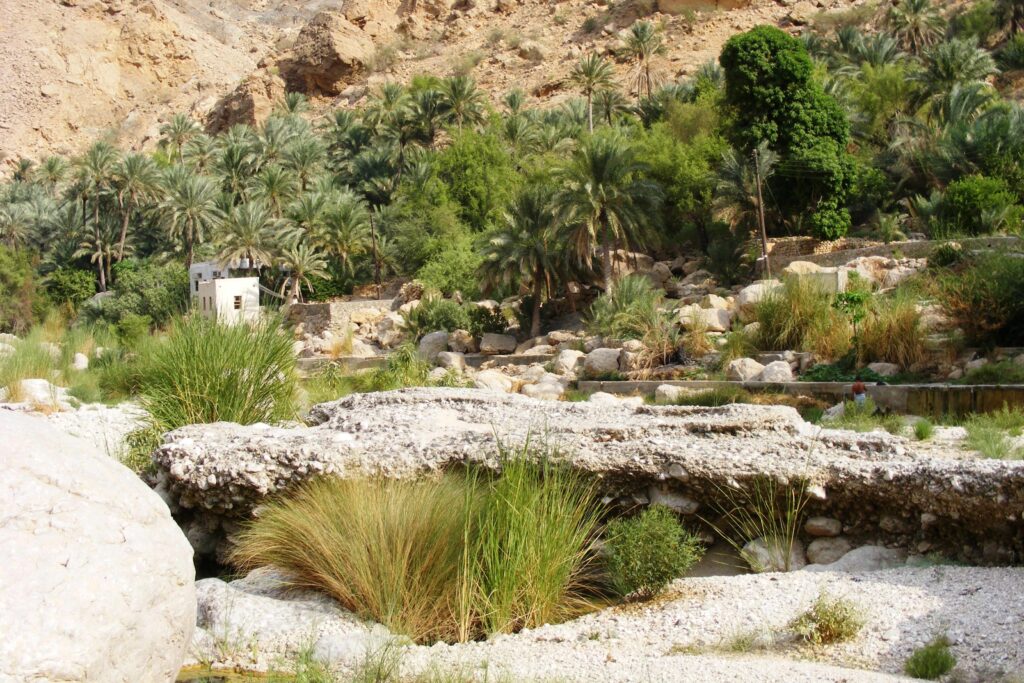 Paysage à Oman avec des reliefs rocailleux encadrés de végétation