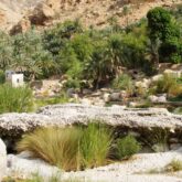 Paysage à Oman avec des reliefs rocailleux encadrés de végétation