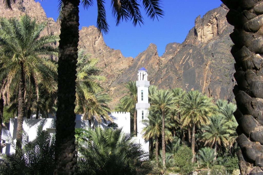 Paysage à Oman avec des palmiers et en fond des sommets, entre les palmiers on a un monument à l'architecture classique d'Oman