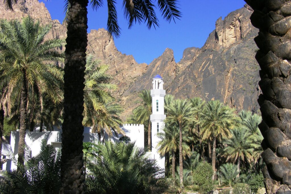 Paysage à Oman avec des palmiers et en fond des sommets, entre les palmiers on a un monument à l'architecture classique d'Oman