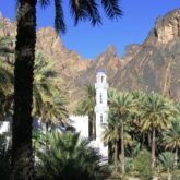 Paysage à Oman avec des palmiers et en fond des sommets, entre les palmiers on a un monument à l'architecture classique d'Oman