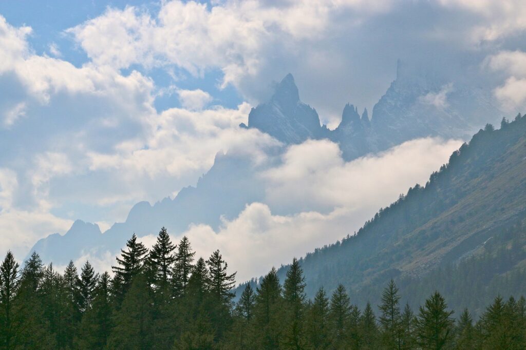 Paysage montagnard encadré d'une forêt avec des sommets que l'on voit à contrejour