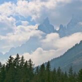 Paysage montagnard encadré d'une forêt avec des sommets que l'on voit à contrejour