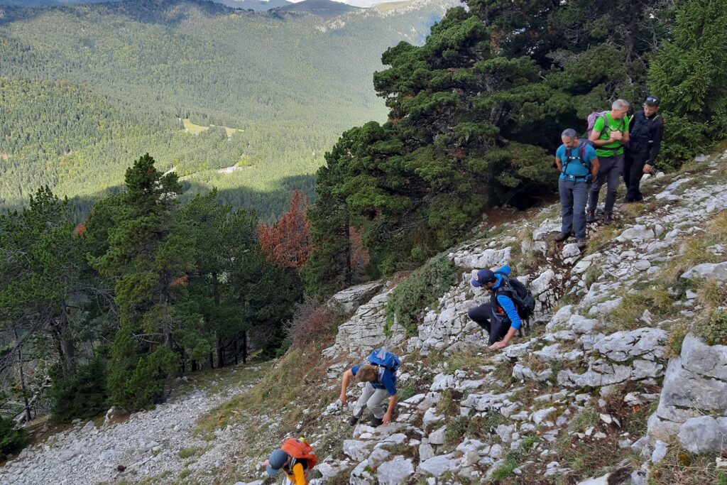 Groupe de randonneurs sur un sentier de randonnée avec leur guide dans le Vercors