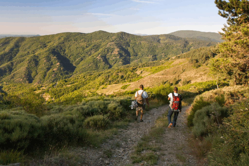 Groupe de randonneurs qui marchent sur un chemin avec une belle vue sur la montagne devant eux