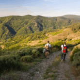 Groupe de randonneurs qui marchent sur un chemin avec une belle vue sur la montagne devant eux