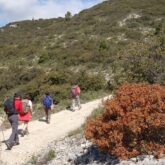 randonnee-dans-le-luberon