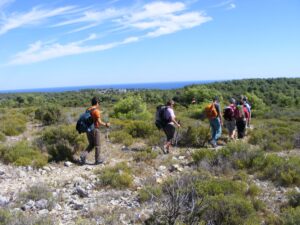 Groupe de randonneurs dans la garrigue lors du réveillon à Narbonne