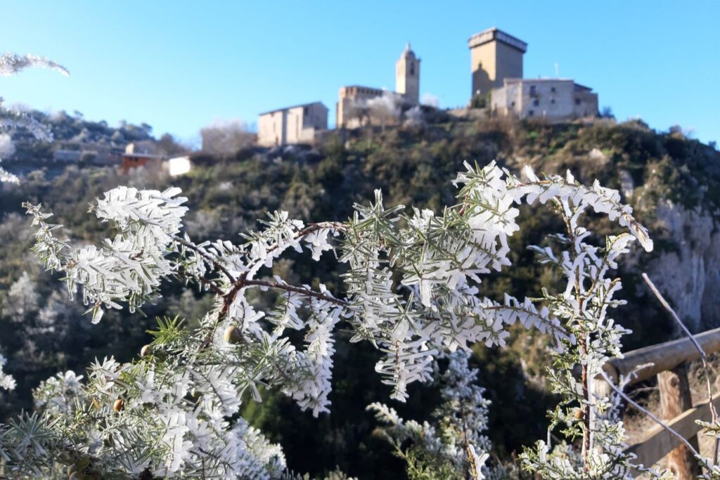 Végétation glacée par le gel en Sierra de Guara avec en fond un château