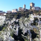 Végétation glacée par le gel en Sierra de Guara avec en fond un château