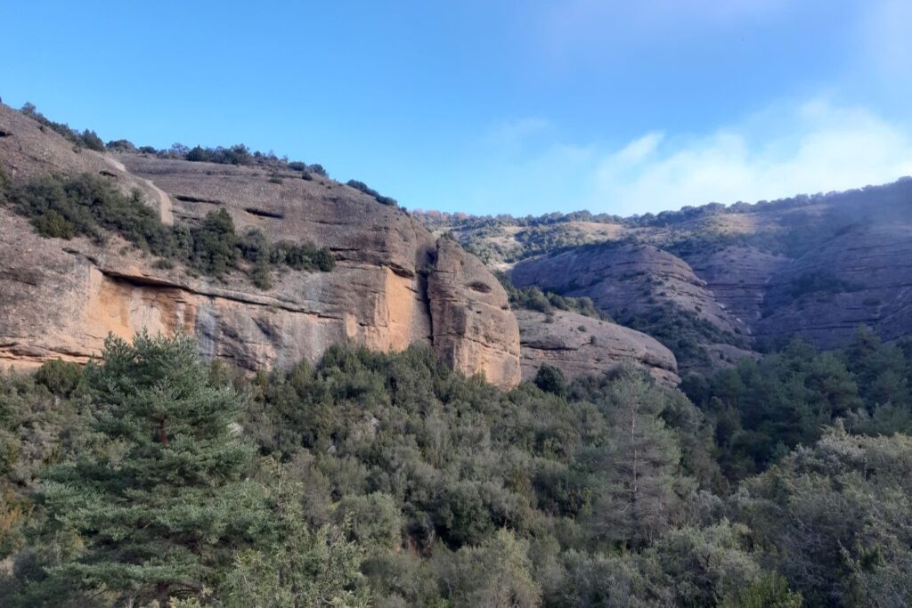 Falaise en Sierra de Guara avec une foret en contre-bas