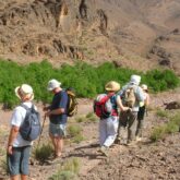Groupe de randonneurs sur un sentier dans le désert Saghro