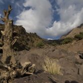 paysage vallee toubkal