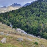 cabane-foret-encantats