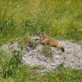 rando-balneo-ariege-encadree