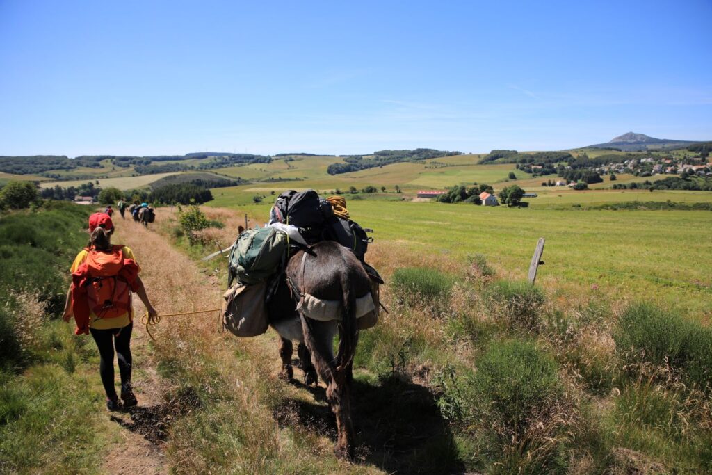 Enfant guidant un âne sur un chemin.