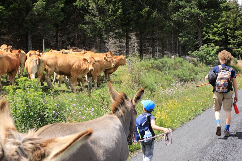 Enfant avançant avec un âne le long d'un champ.