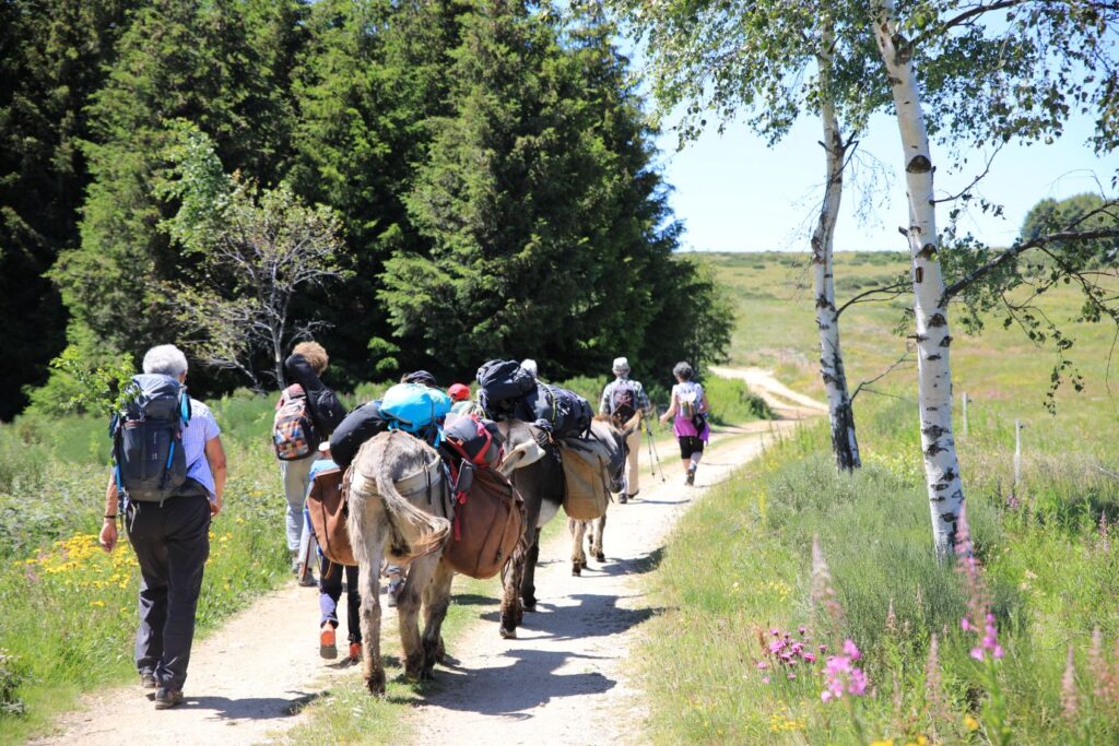 Famille avançant sur un chemin lors d'un séjour en Ardèche.