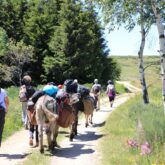 famille-marchant-avec-anes