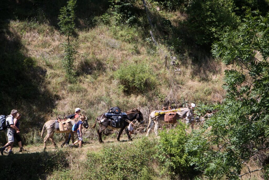 Famille marchant en compagnie des ânes.