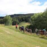 groupe-marchant-le-long-de-la-foret